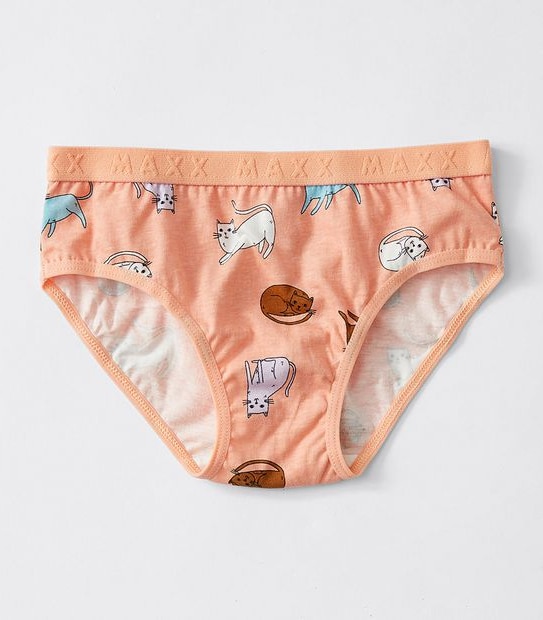 Maxx 5 Pack Girls Briefs