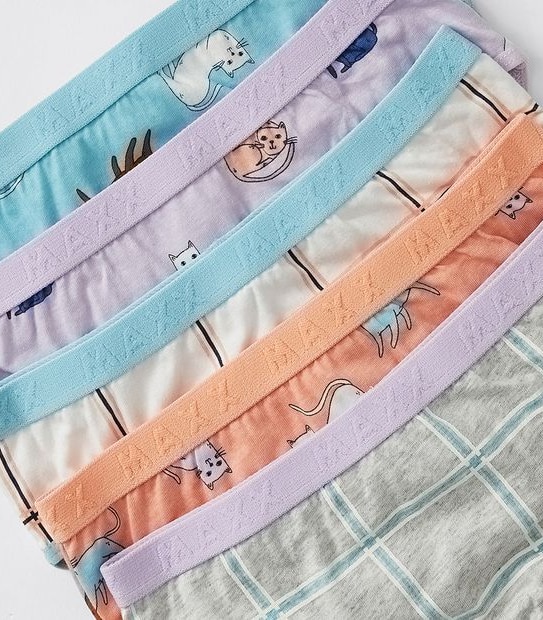 Maxx 5 Pack Girls Briefs