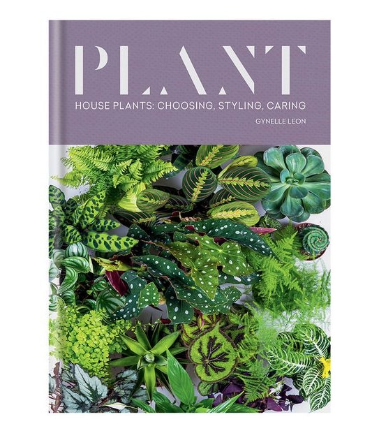 Plant - Gynelle Leon