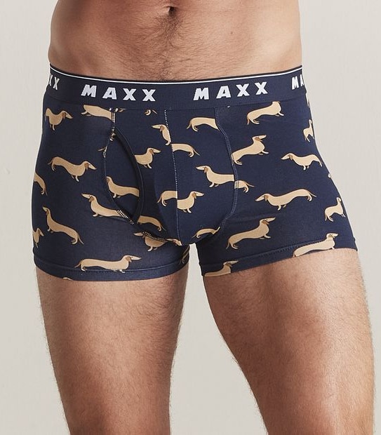 Maxx Flyfront Trunks