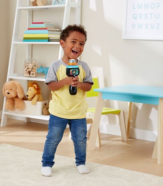 VTech Singing Sounds Microphone