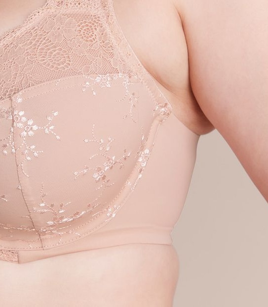 Fuller Figure Embroidered Lace Underwire Bra; Model: TLMUW090