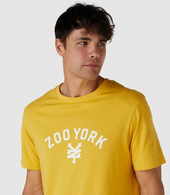 Zoo York Dupont T-Shirt