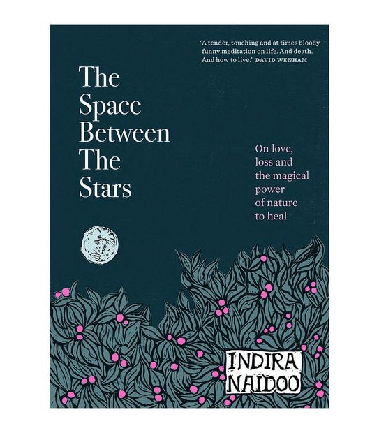 The Space Between The Stars - Indira Naidoo