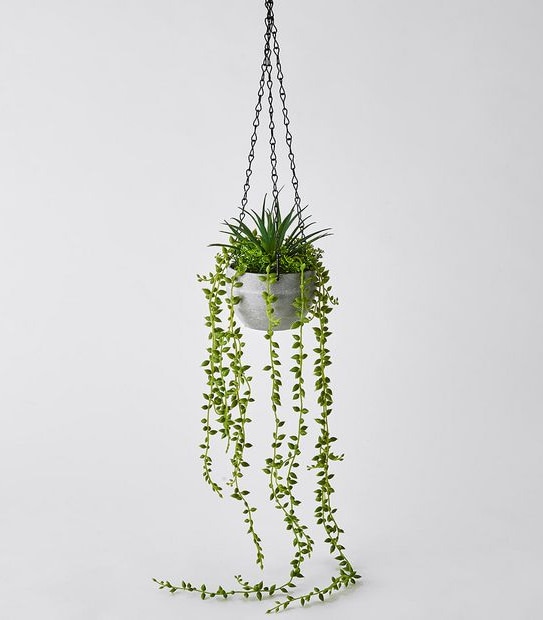 Hanging String Of Pearls