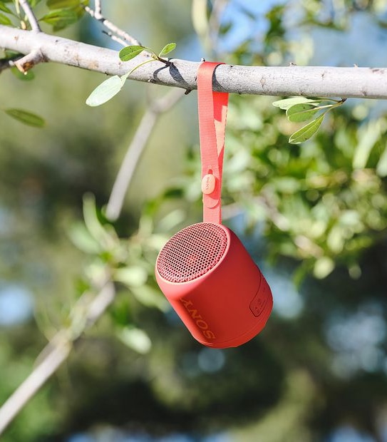 Sony Extra Bass Wireless Speaker SRSXB12