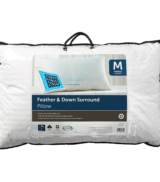 Target Feather + Down Surround Pillow