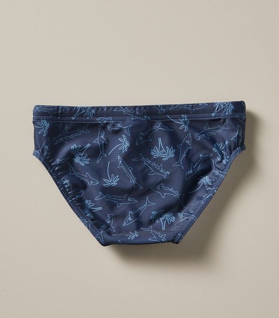 Swim Brief