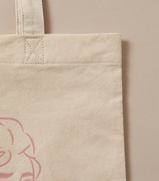 Disney Frozen Licensed Tote Bag