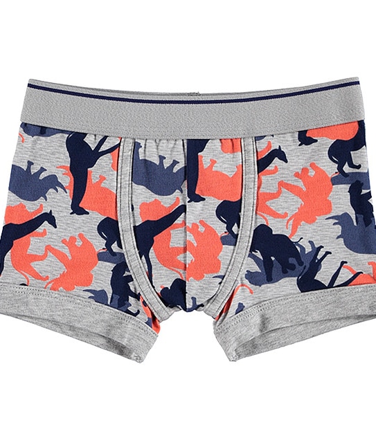 Boys' 2 Pack Trunks - Sizes 2-8 2 of 3