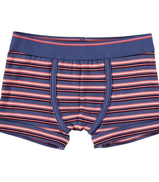 Boys' 2 Pack Trunks - Sizes 2-8 3 of 3