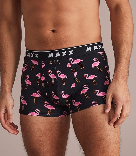 Maxx Flyfront Trunks