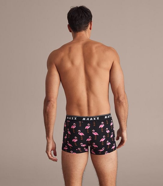 Maxx Flyfront Trunks