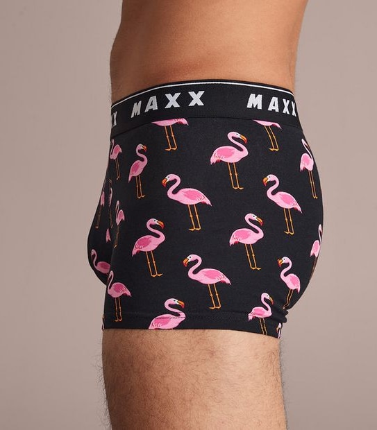 Maxx Flyfront Trunks