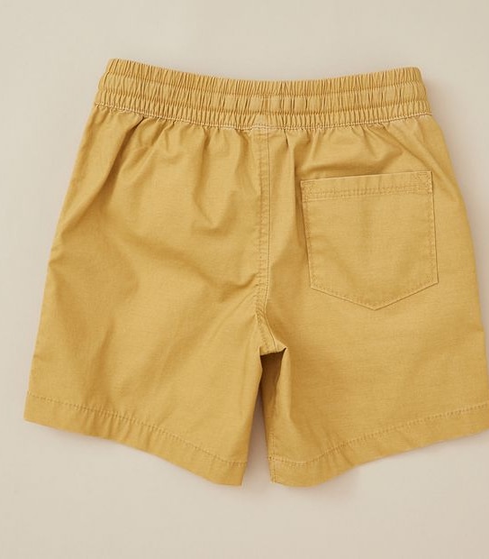 Volley Shorts
