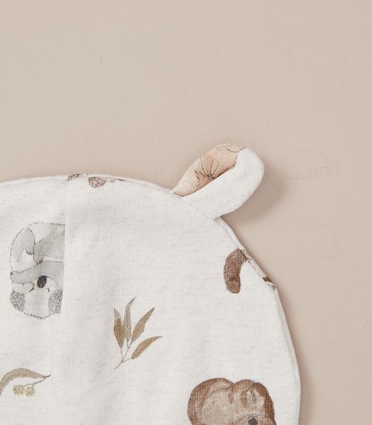 Baby Beanie & Mitten Set