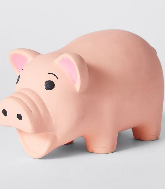 Patch & Socks Rubber Toy - Piggy