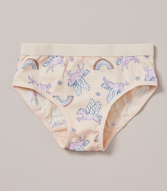 5 Pack Maxx Briefs
