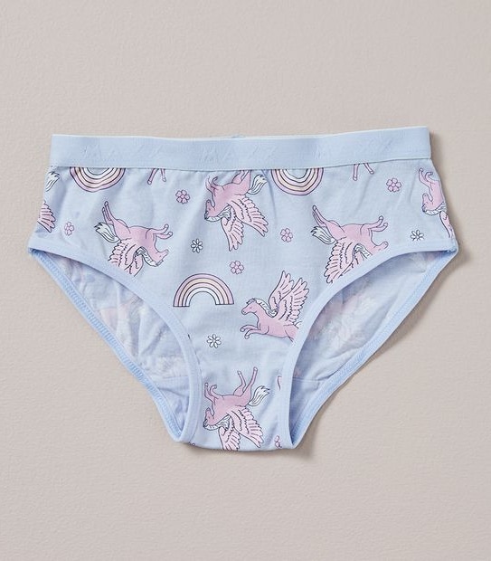 5 Pack Maxx Briefs