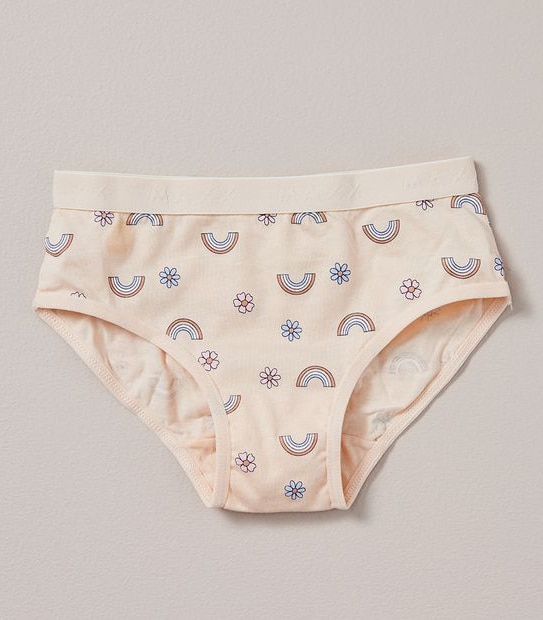 5 Pack Maxx Briefs