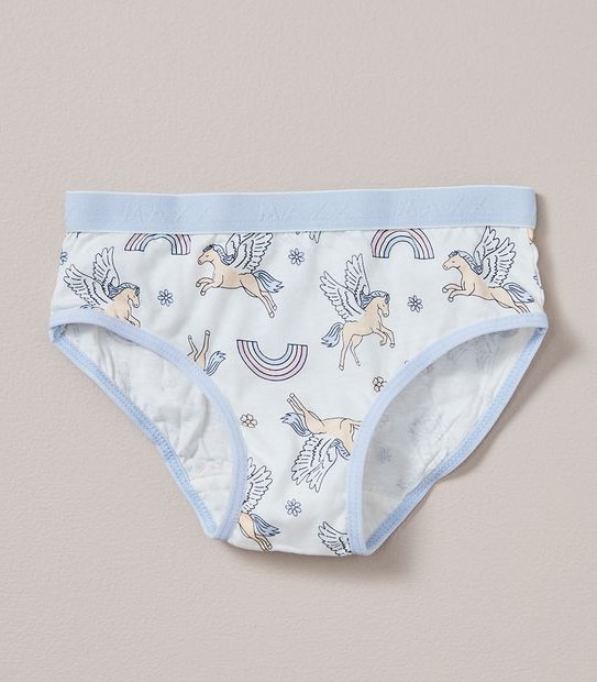 5 Pack Maxx Briefs