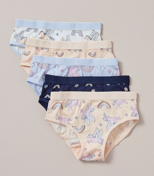 5 Pack Maxx Briefs