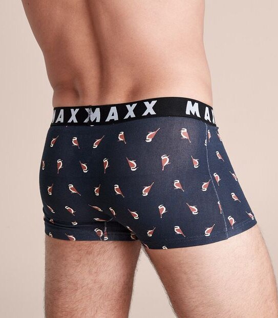Maxx 7 Pack of Trunks
