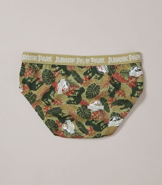 4 Pack Jurassic World Briefs