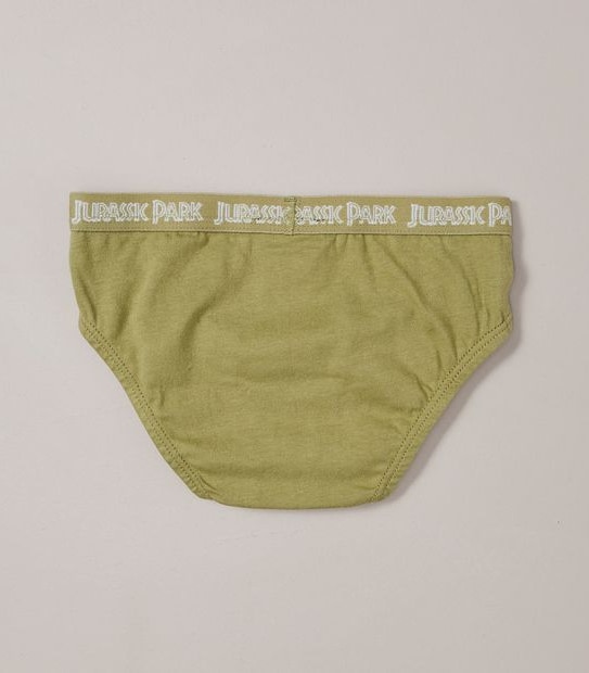 4 Pack Jurassic World Briefs