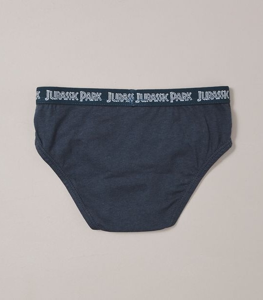 4 Pack Jurassic World Briefs