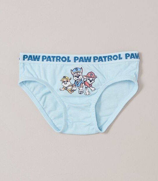 4 Pack Paw Patrol Briefs
