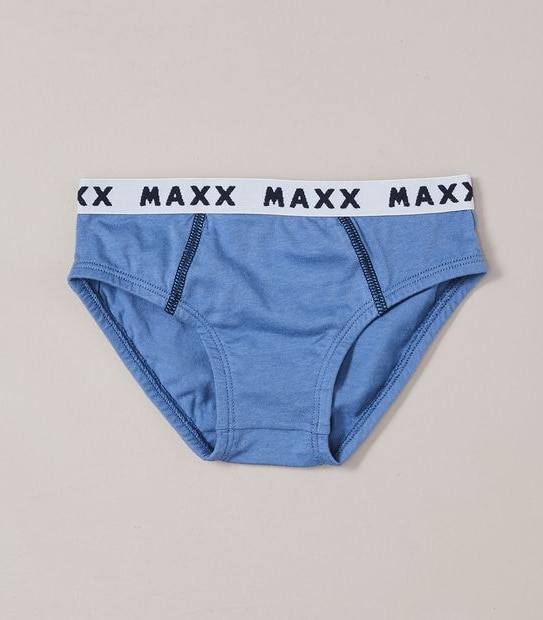 5 Pack Dinosaur Briefs