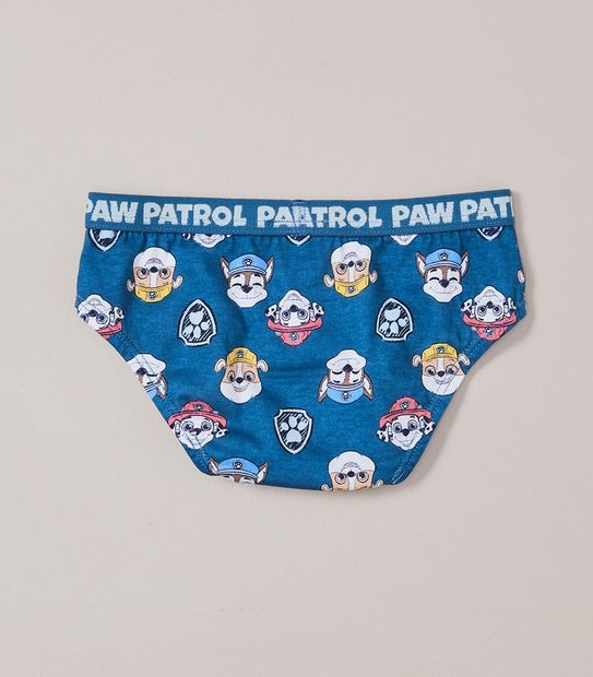 4 Pack Paw Patrol Briefs