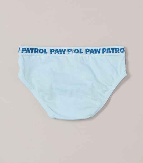4 Pack Paw Patrol Briefs