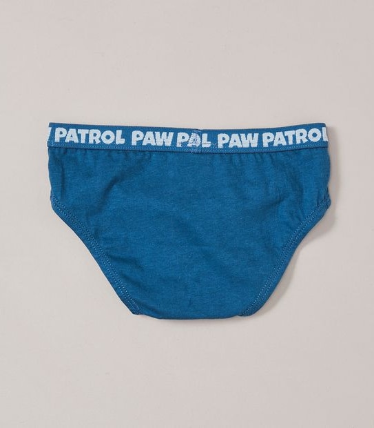 4 Pack Paw Patrol Briefs