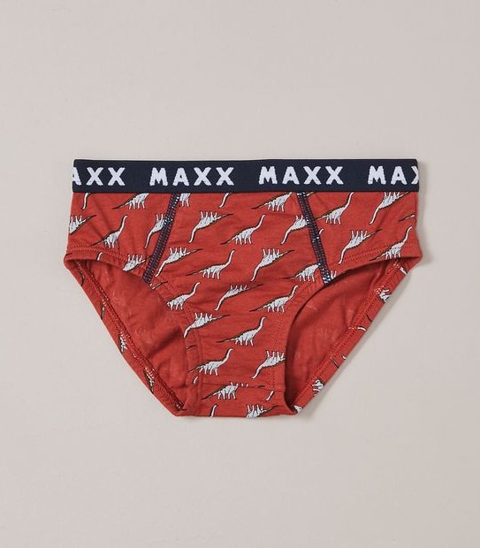 5 Pack Dinosaur Briefs