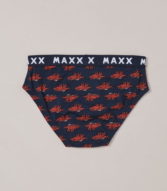 5 Pack Dinosaur Briefs