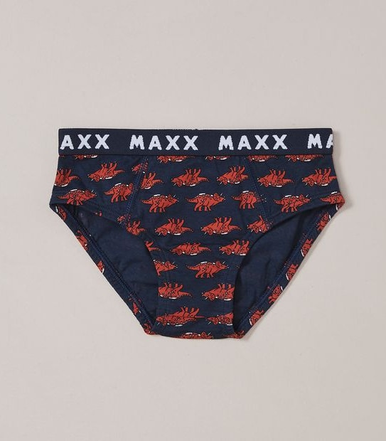 5 Pack Dinosaur Briefs