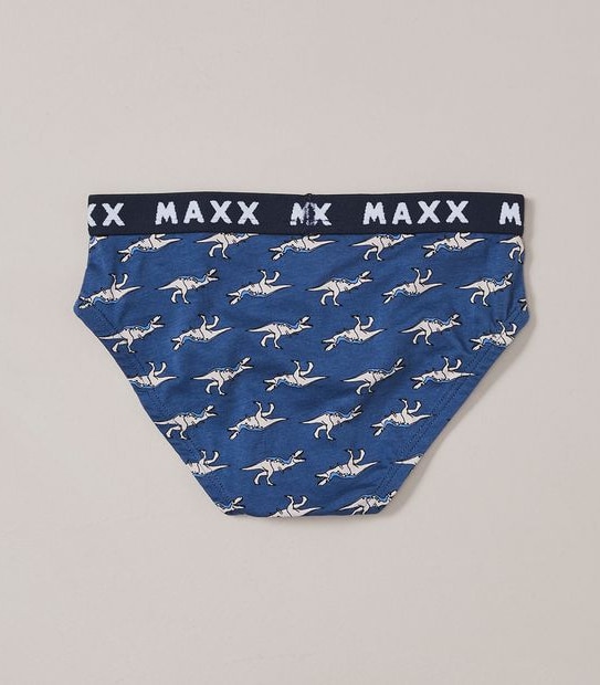 5 Pack Dinosaur Briefs