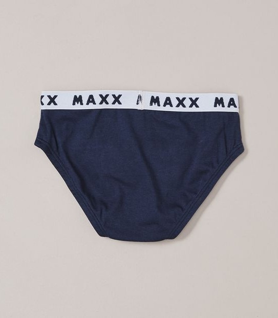 5 Pack Dinosaur Briefs