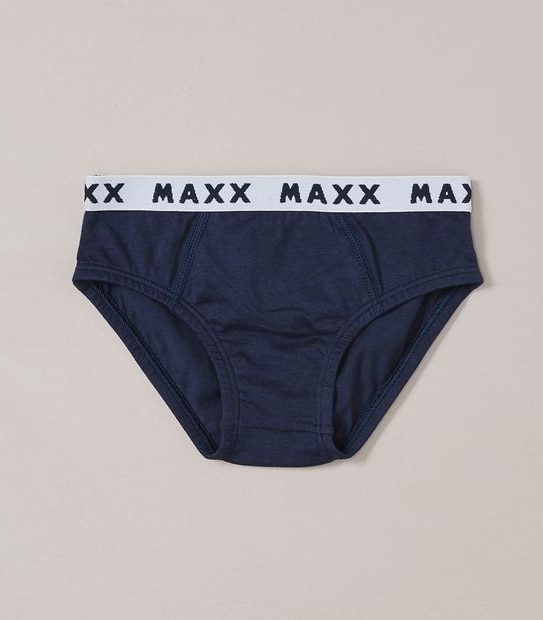 5 Pack Dinosaur Briefs