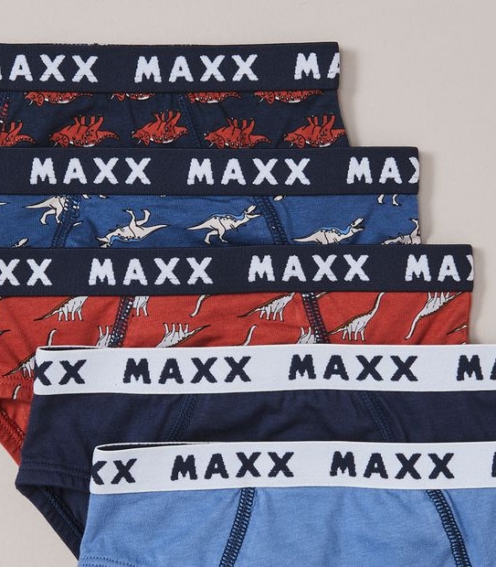 5 Pack Dinosaur Briefs
