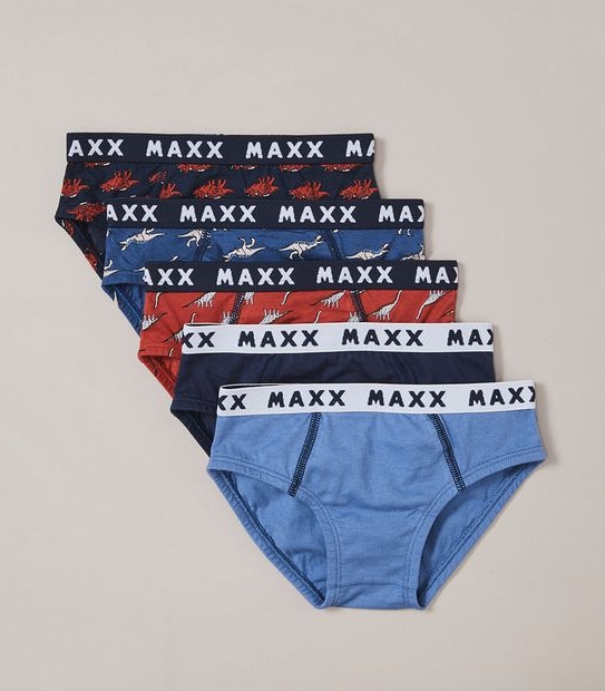 5 Pack Dinosaur Briefs