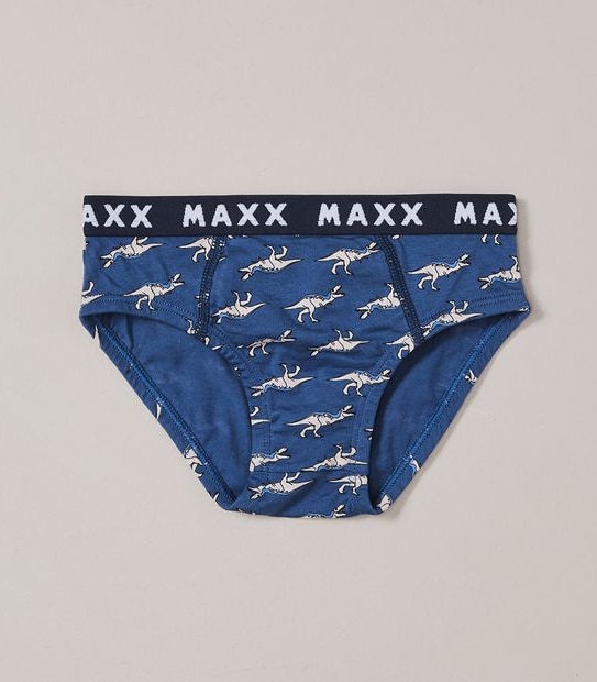 5 Pack Dinosaur Briefs