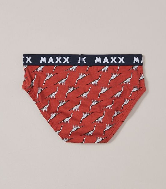 5 Pack Dinosaur Briefs