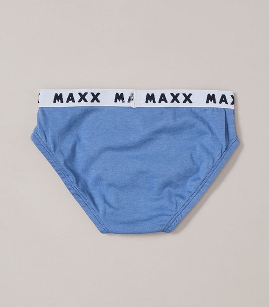 5 Pack Dinosaur Briefs