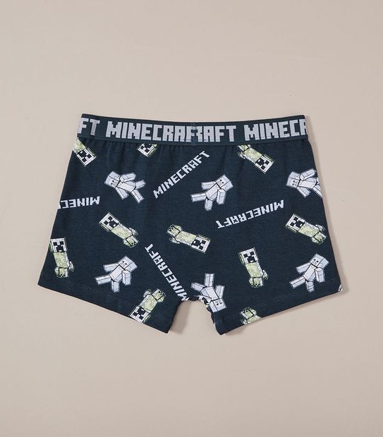 2 Pack Minecraft Trunk