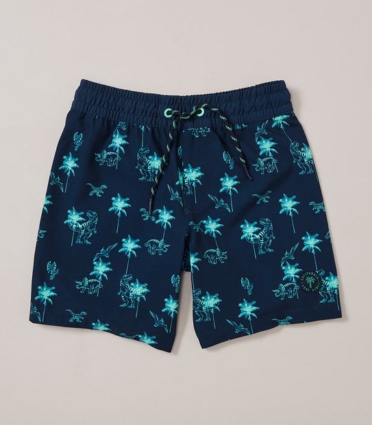 Swim Boardshorts