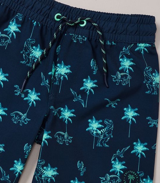 Swim Boardshorts