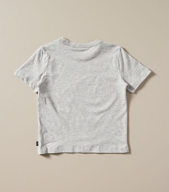 Organic Cotton Short Sleeve 2 Pack T-shirts - Grey/Black